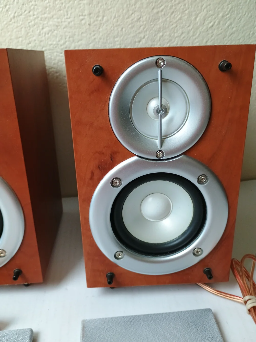 Sony SS-CEX100 Woodengrain Bookshelf Speakers Set Of 2